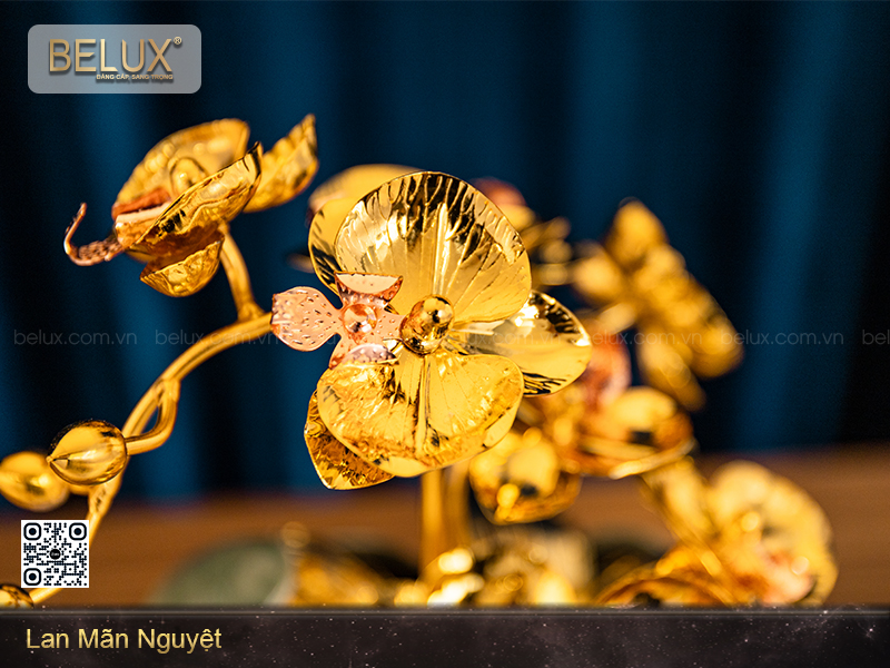 Lan mãn nguyệt mạ vàng 24k&nbsp;